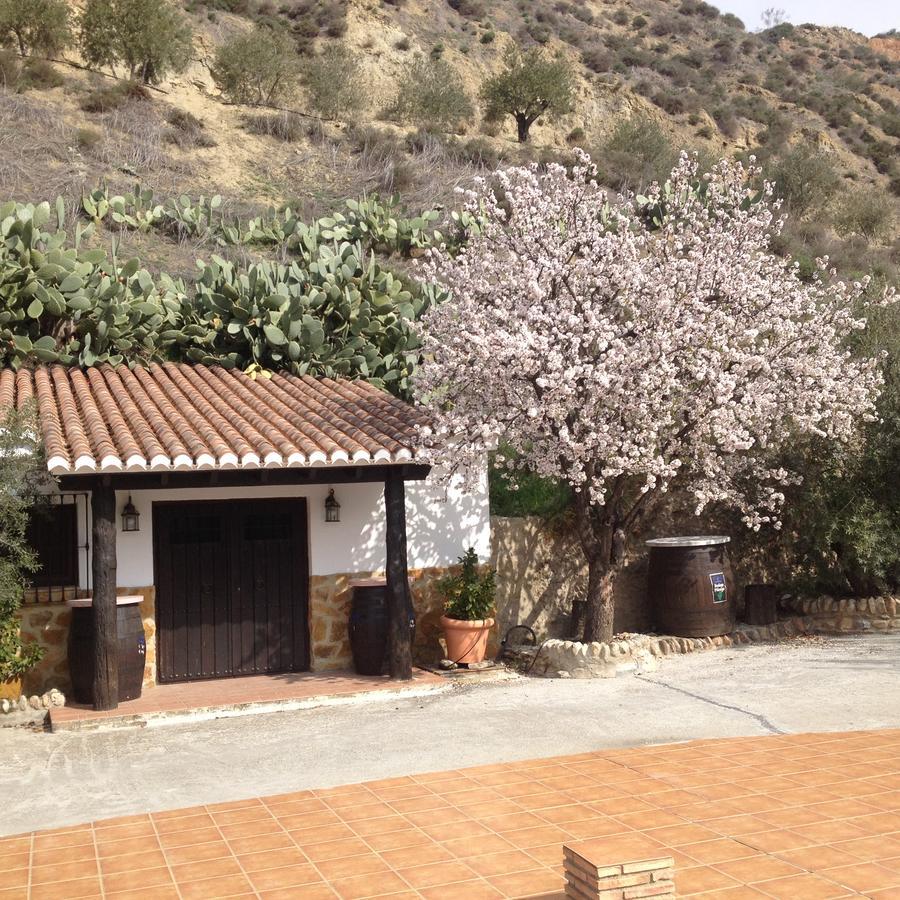 Cortijo Pilongo Apartment Моначил Екстериор снимка